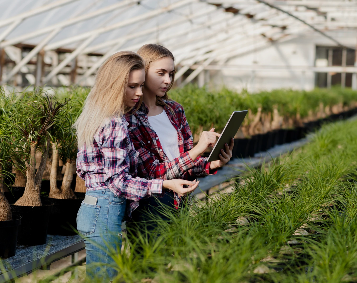 Sistema Fertion gestionando una explotación agrícola de gran tamaño