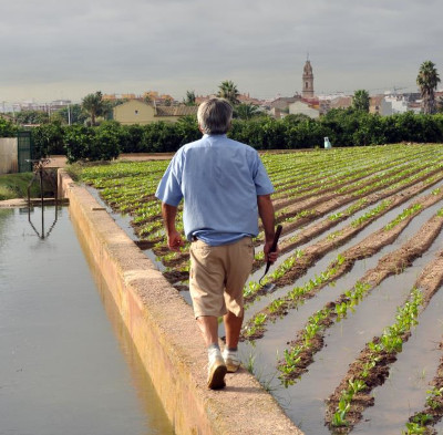 Irrigation community